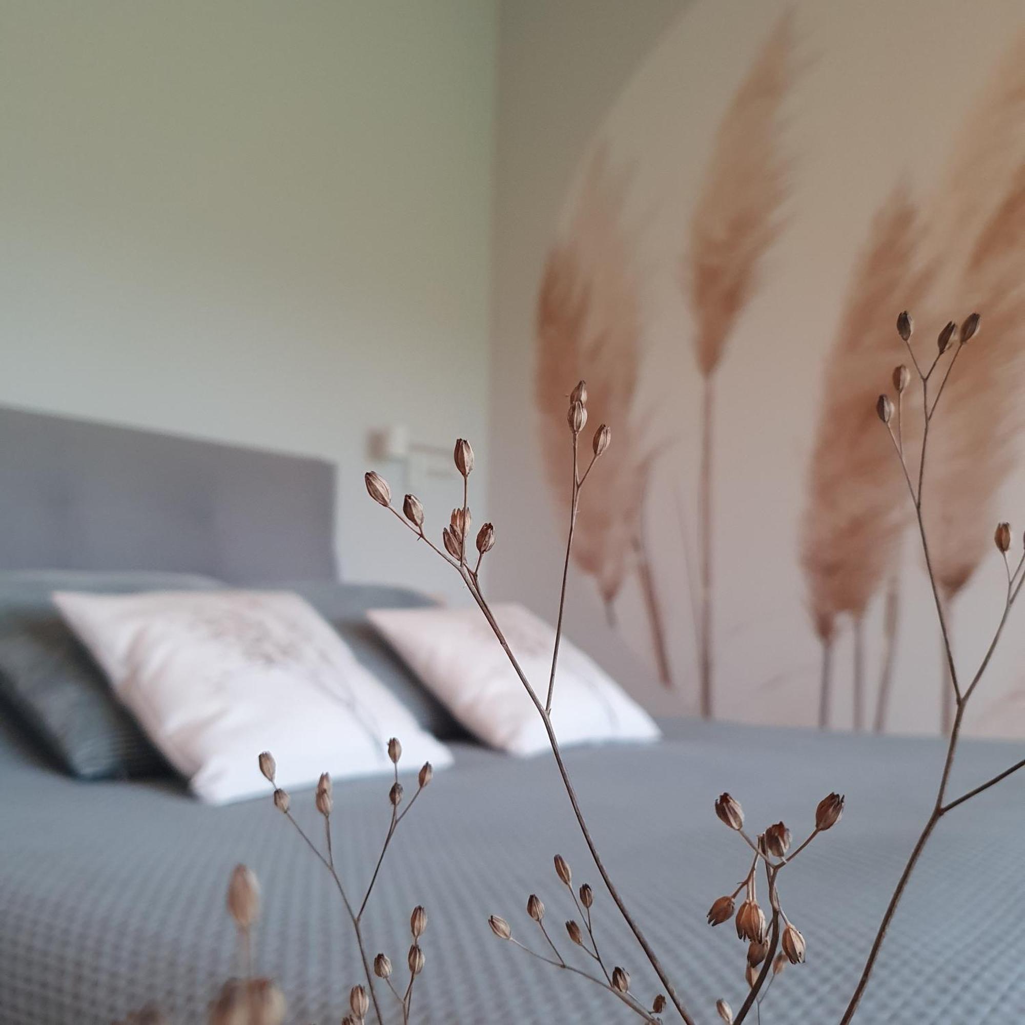 Bed and Breakfast De Buorkerij Tytsjerk Esterno foto